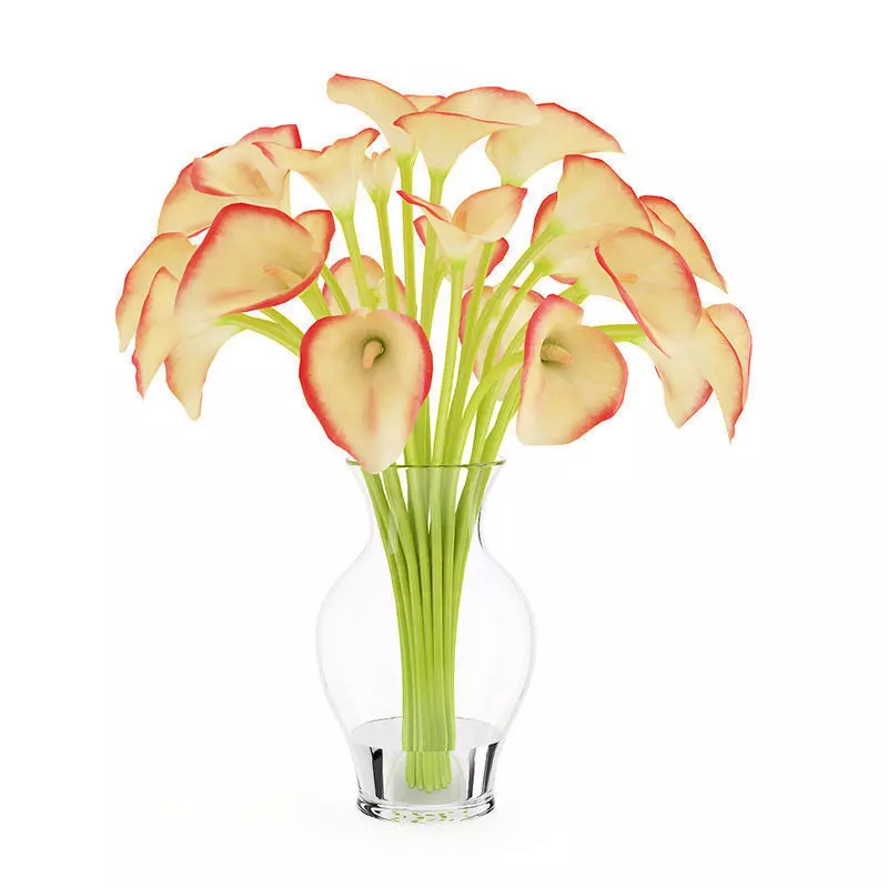 Calla Lilies in Vase 3D model_0