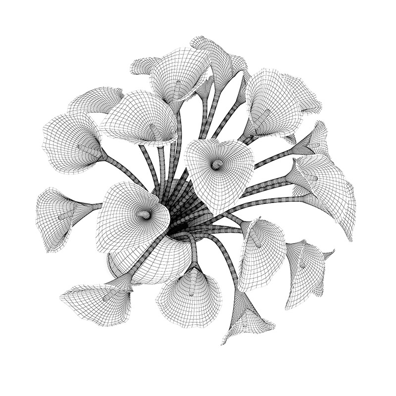 Calla Lilies in Vase 3D model_1