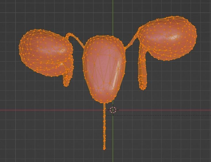 3D Model of Urinary System 3D model_14