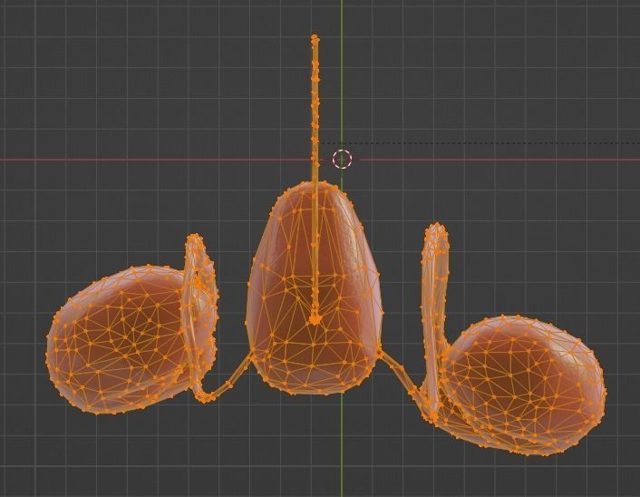 3D Model of Urinary System 3D model_15