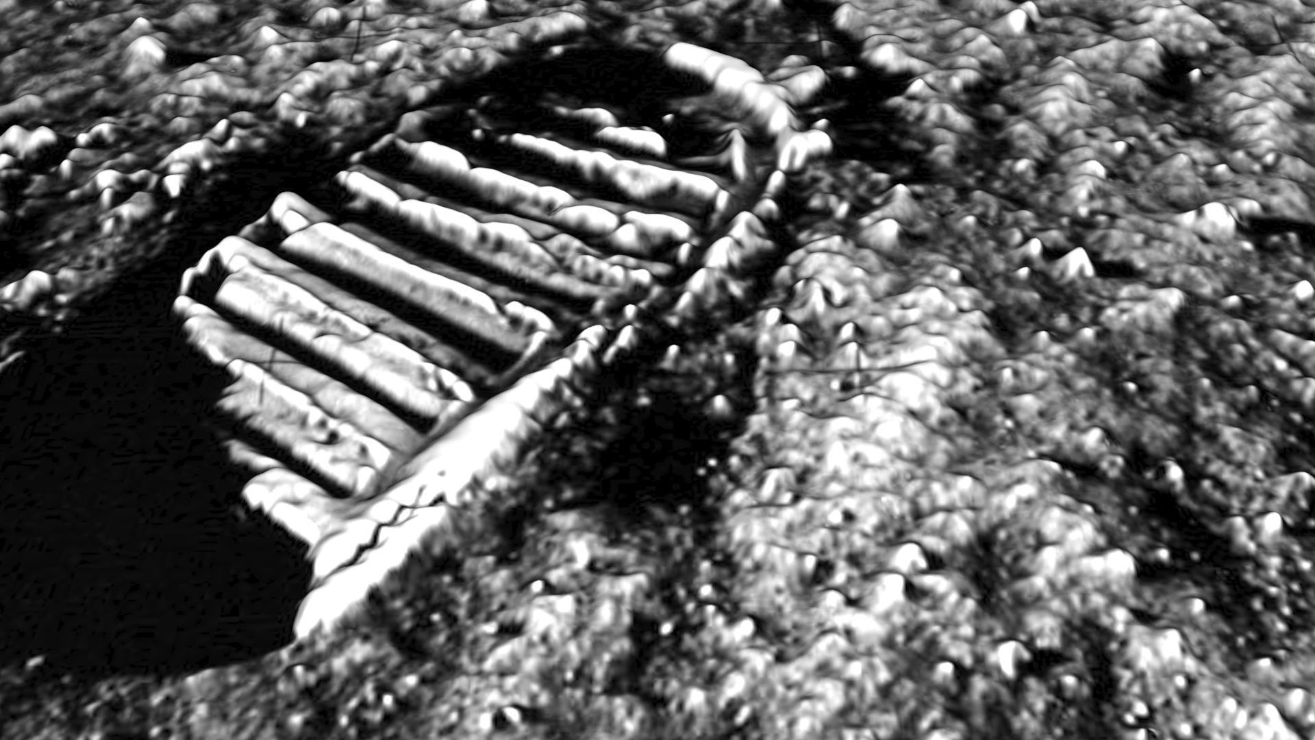 Astronauts First Footprint On The Moon 3D model_5