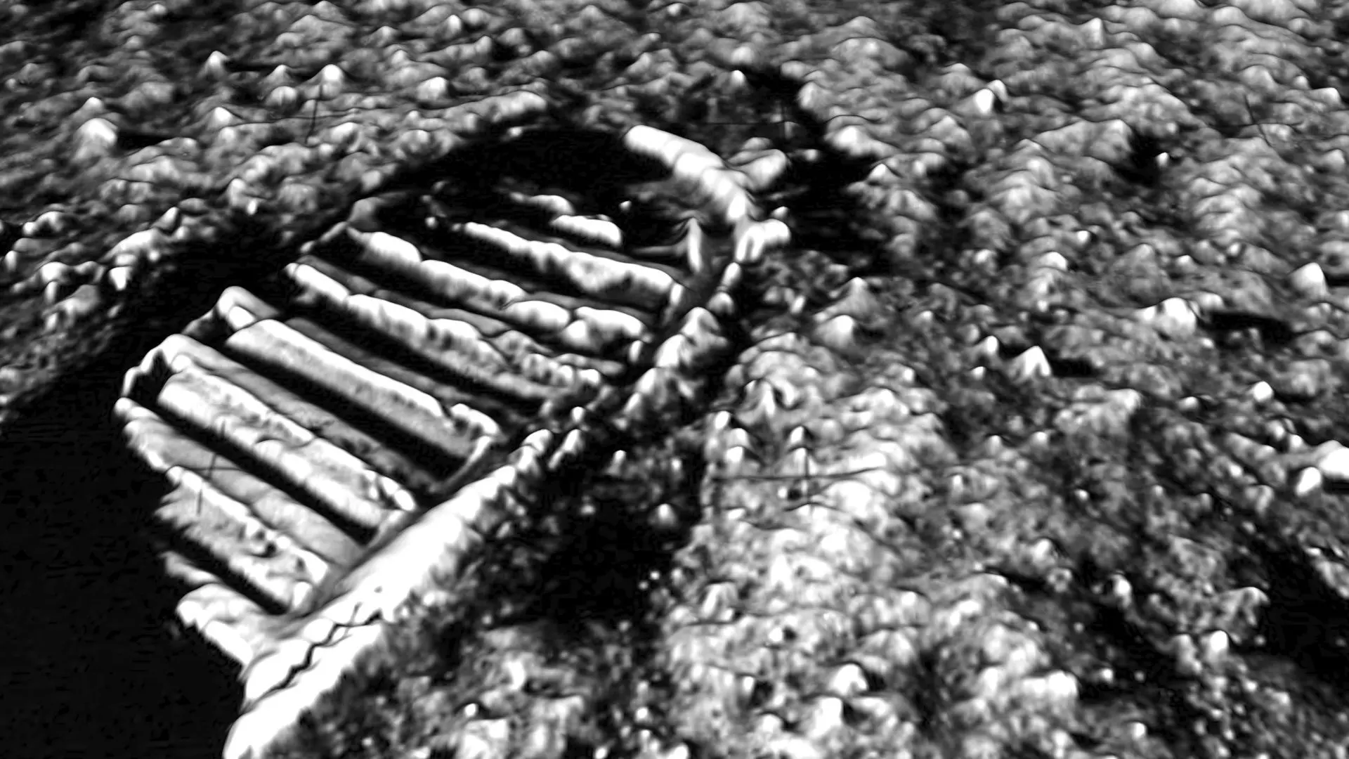 Astronauts First Footprint On The Moon 3D model_0