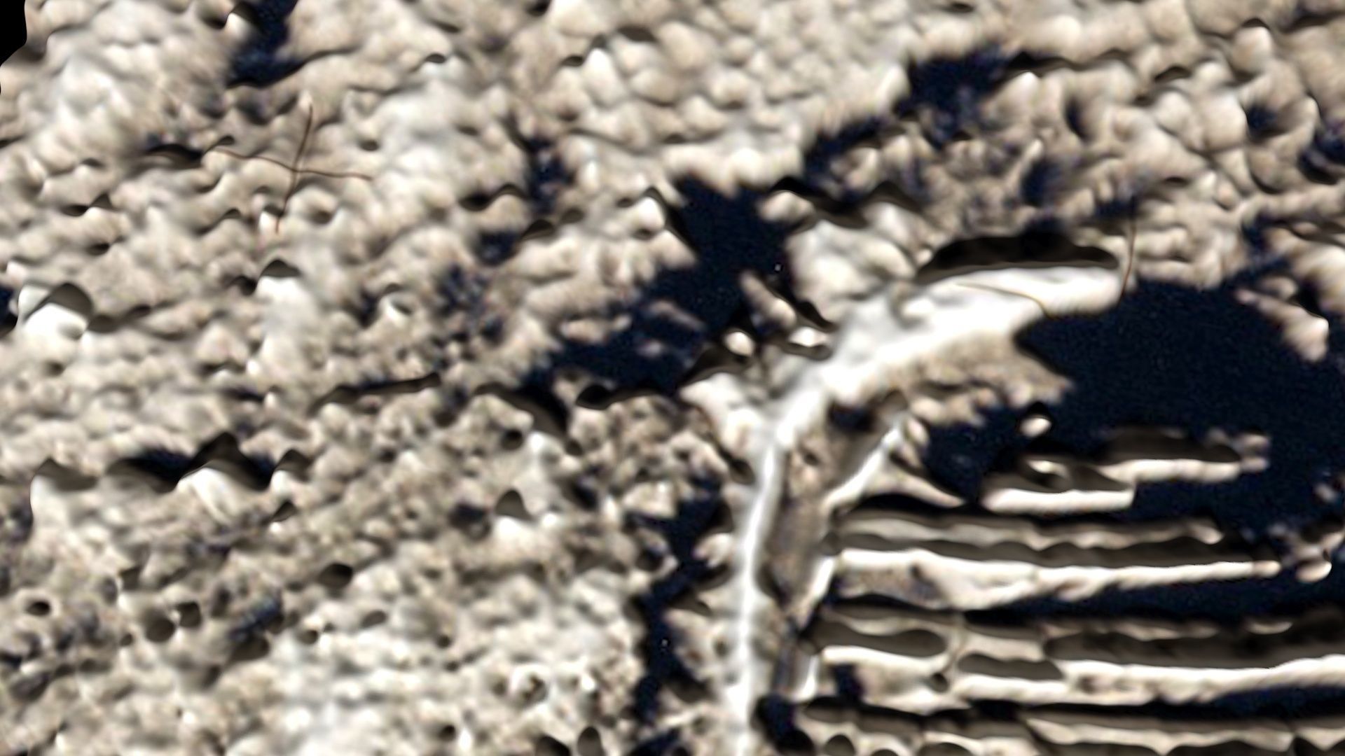 Astronauts First Footprint On The Moon 3D model_6