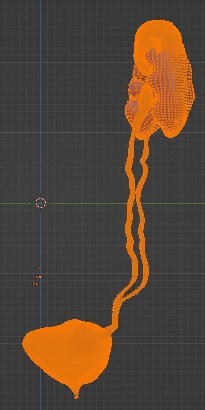 3D Model of Urinary System v2 3D model_15