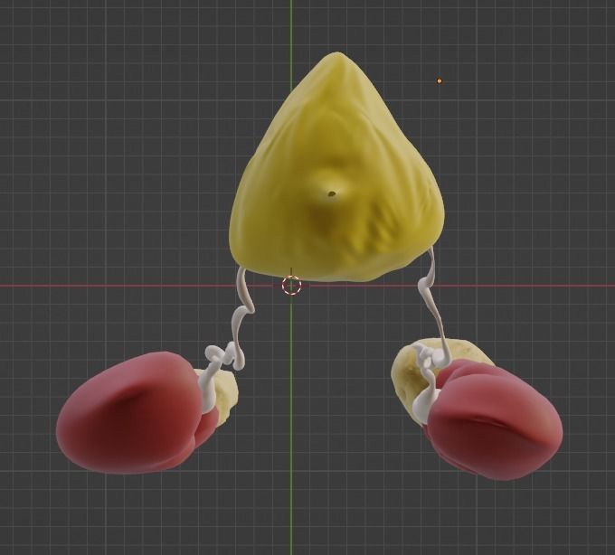 3D Model of Urinary System v2 3D model_18