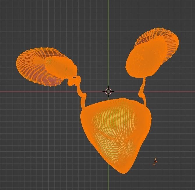 3D Model of Urinary System v2 3D model_17
