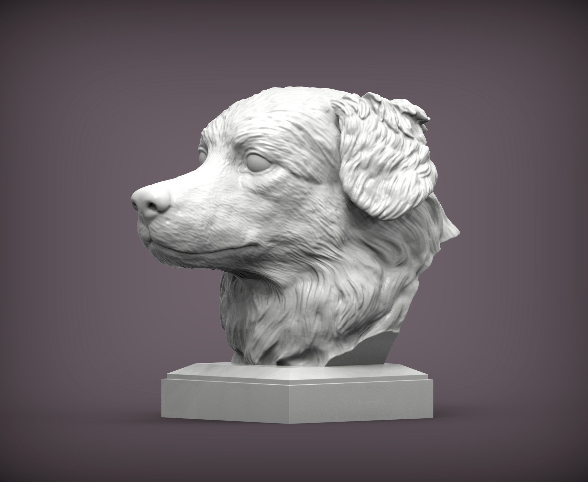 Australian shepherd bust 3D print model_1