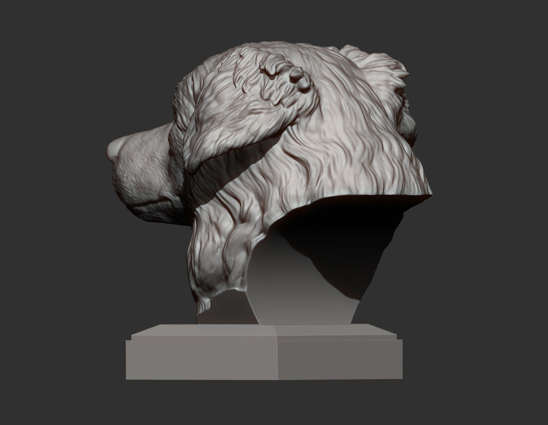 Australian shepherd bust 3D print model_7