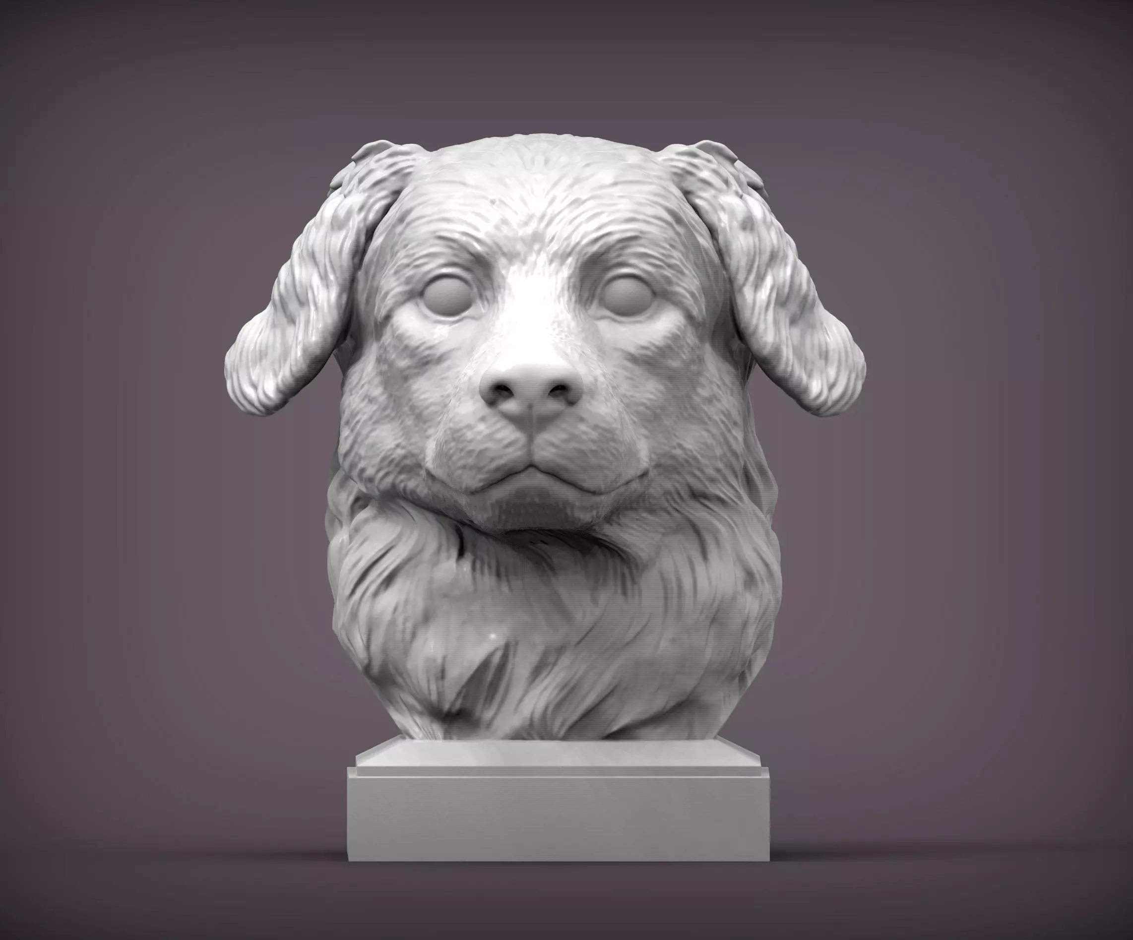 Australian shepherd bust 3D print model_0