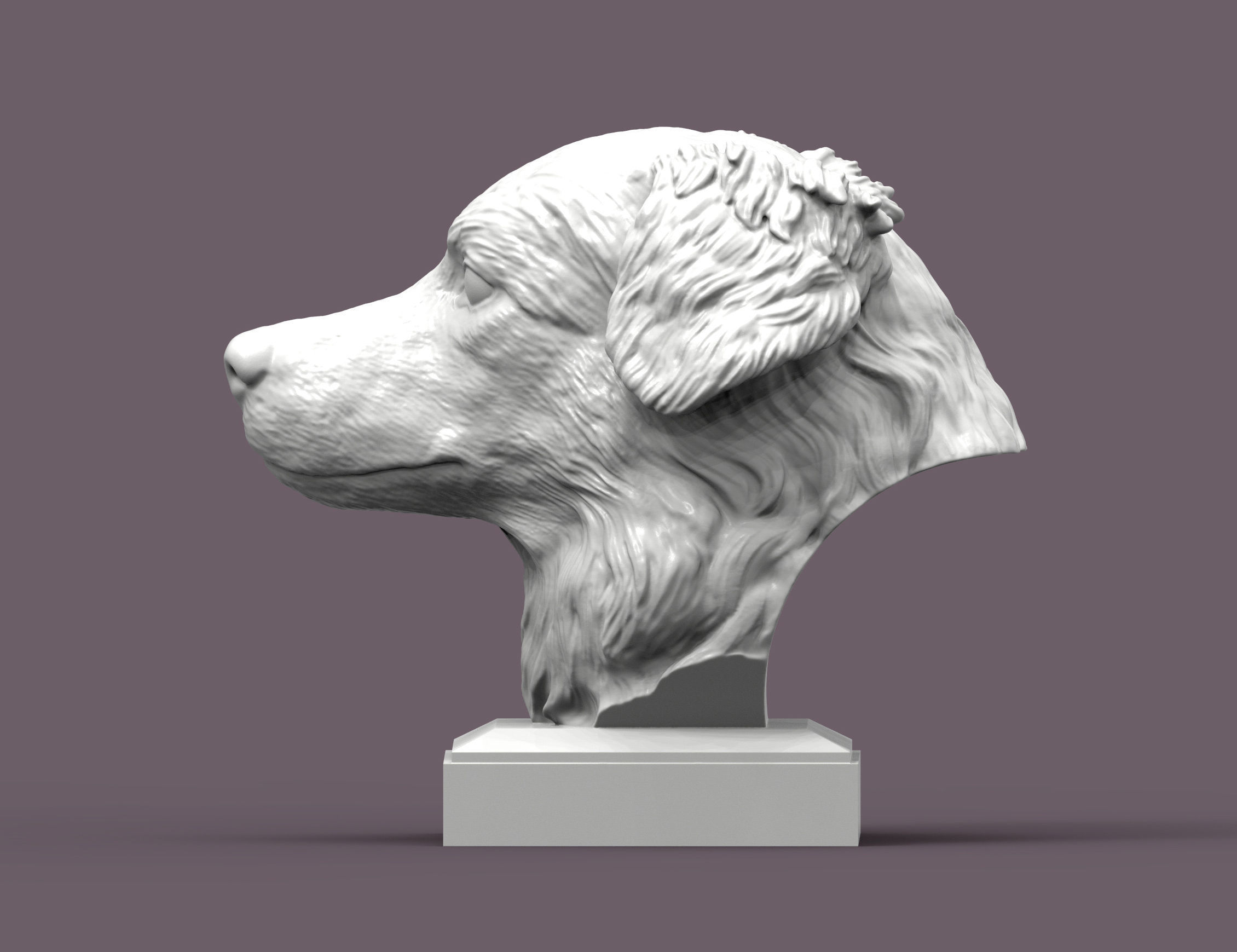 Australian shepherd bust 3D print model_2