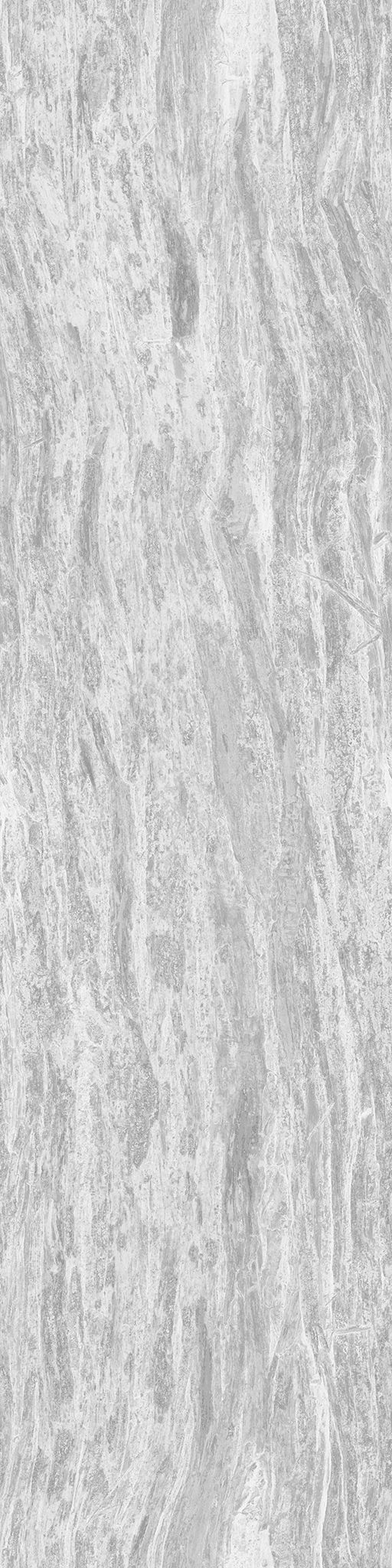 Ficus Elastica Black 3D model_23