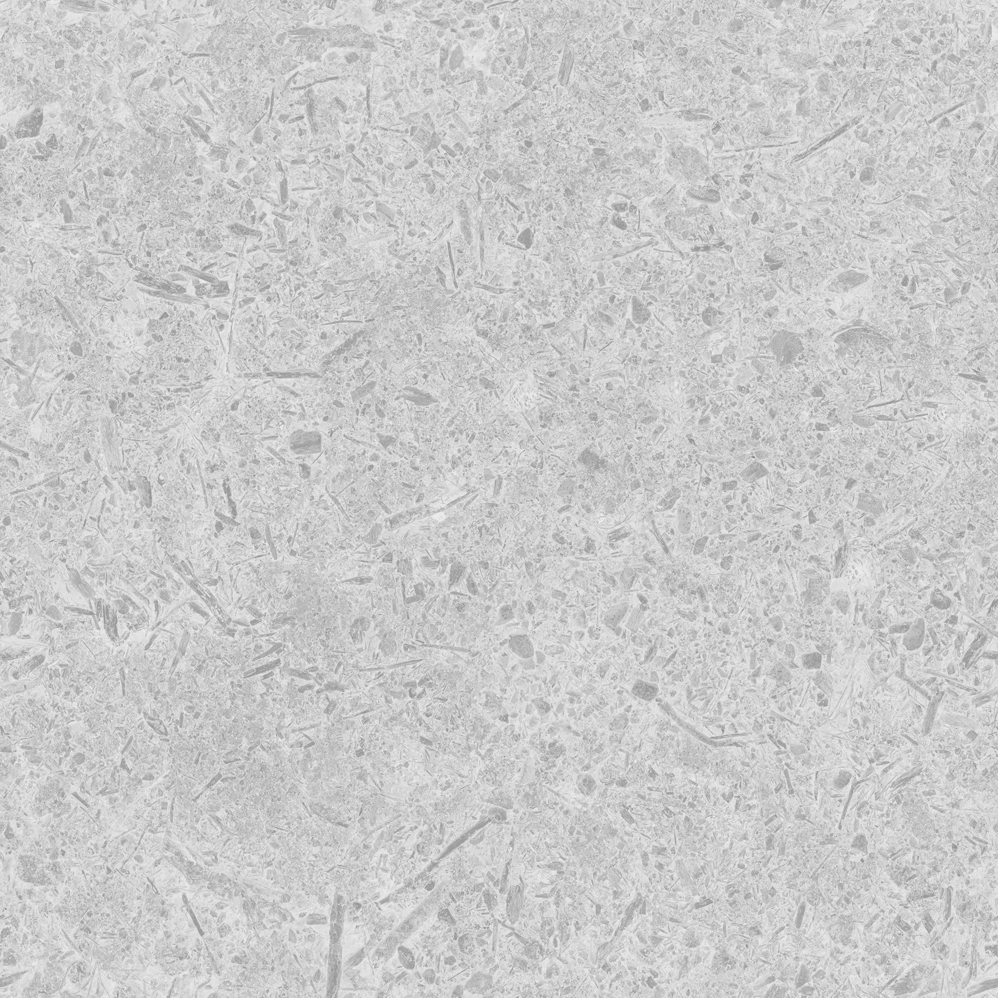 Ficus Elastica Black 3D model_32