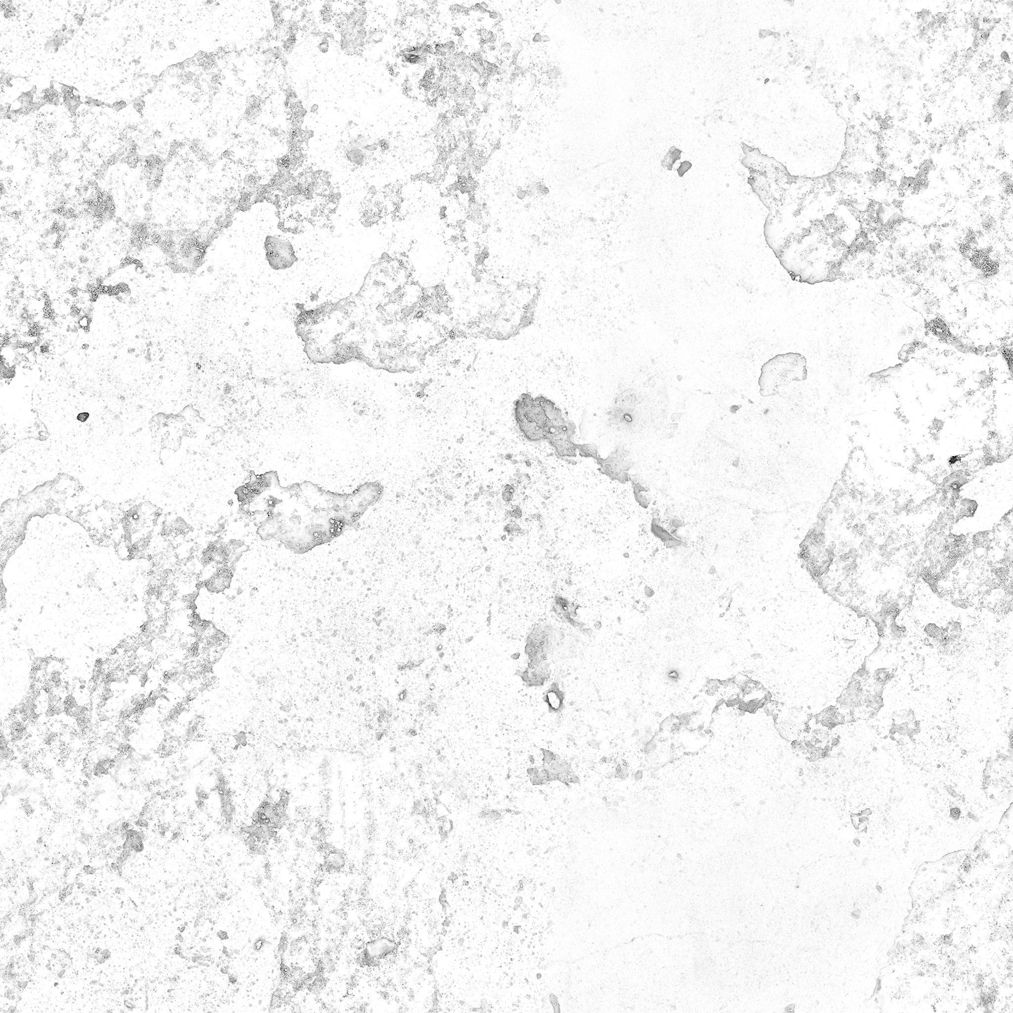 Ficus Elastica Black 3D model_19