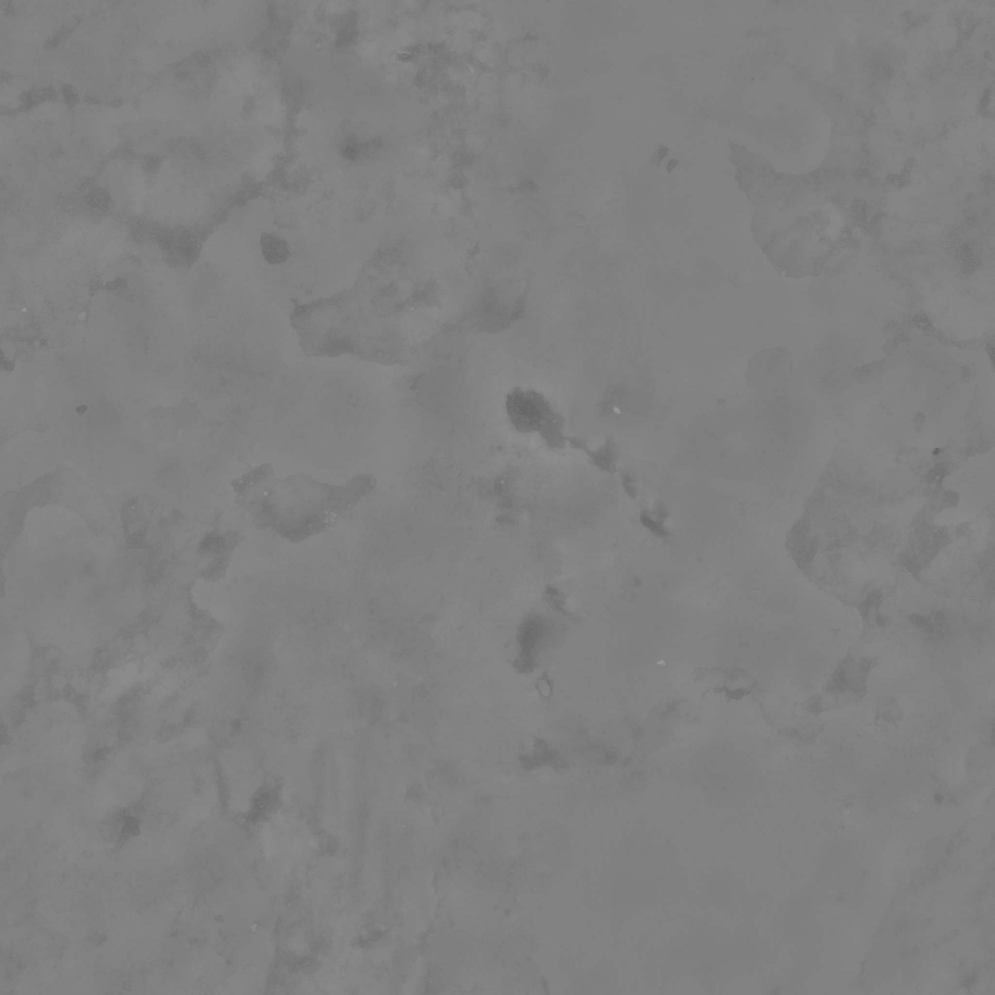 Ficus Elastica Black 3D model_21