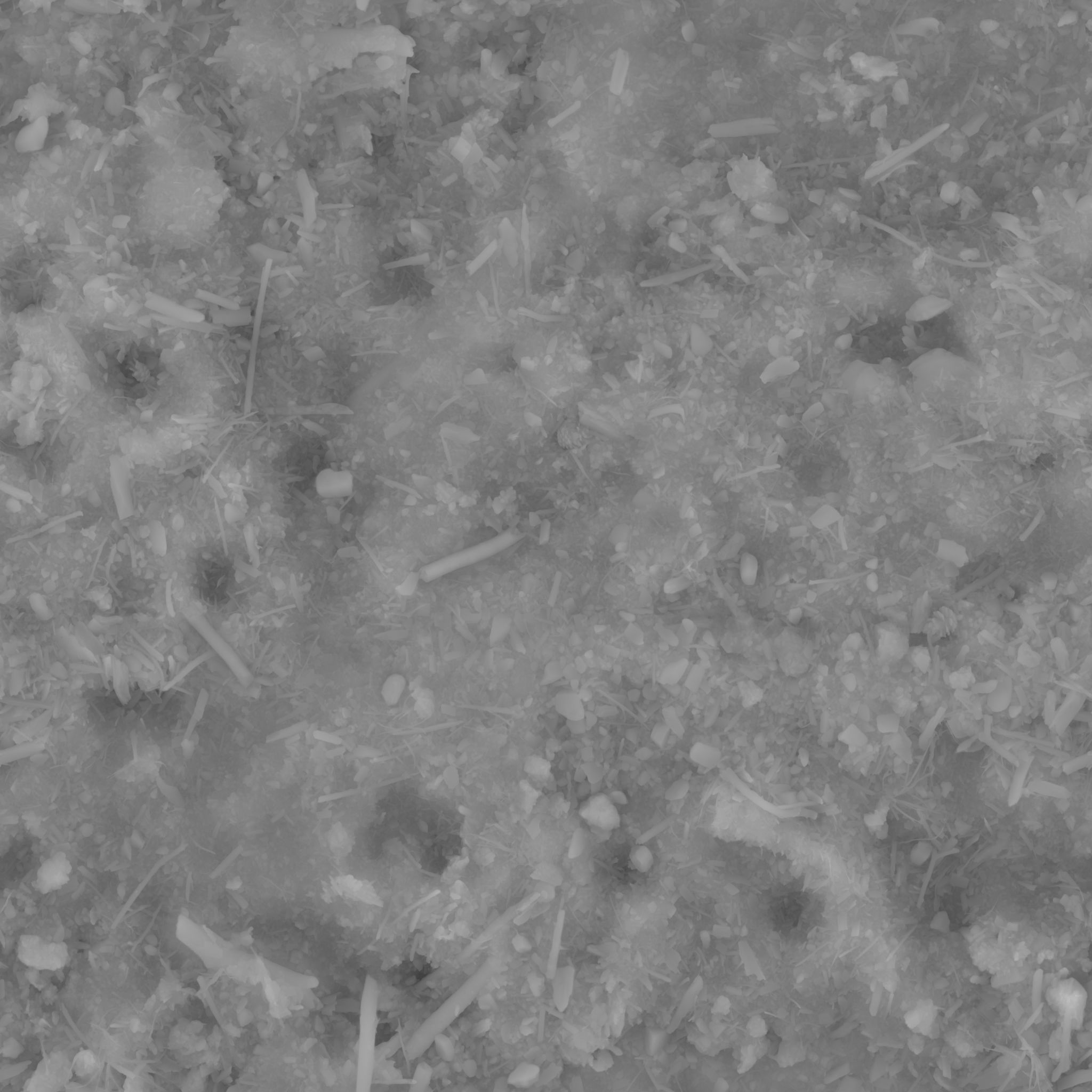 Ficus Elastica Black 3D model_31