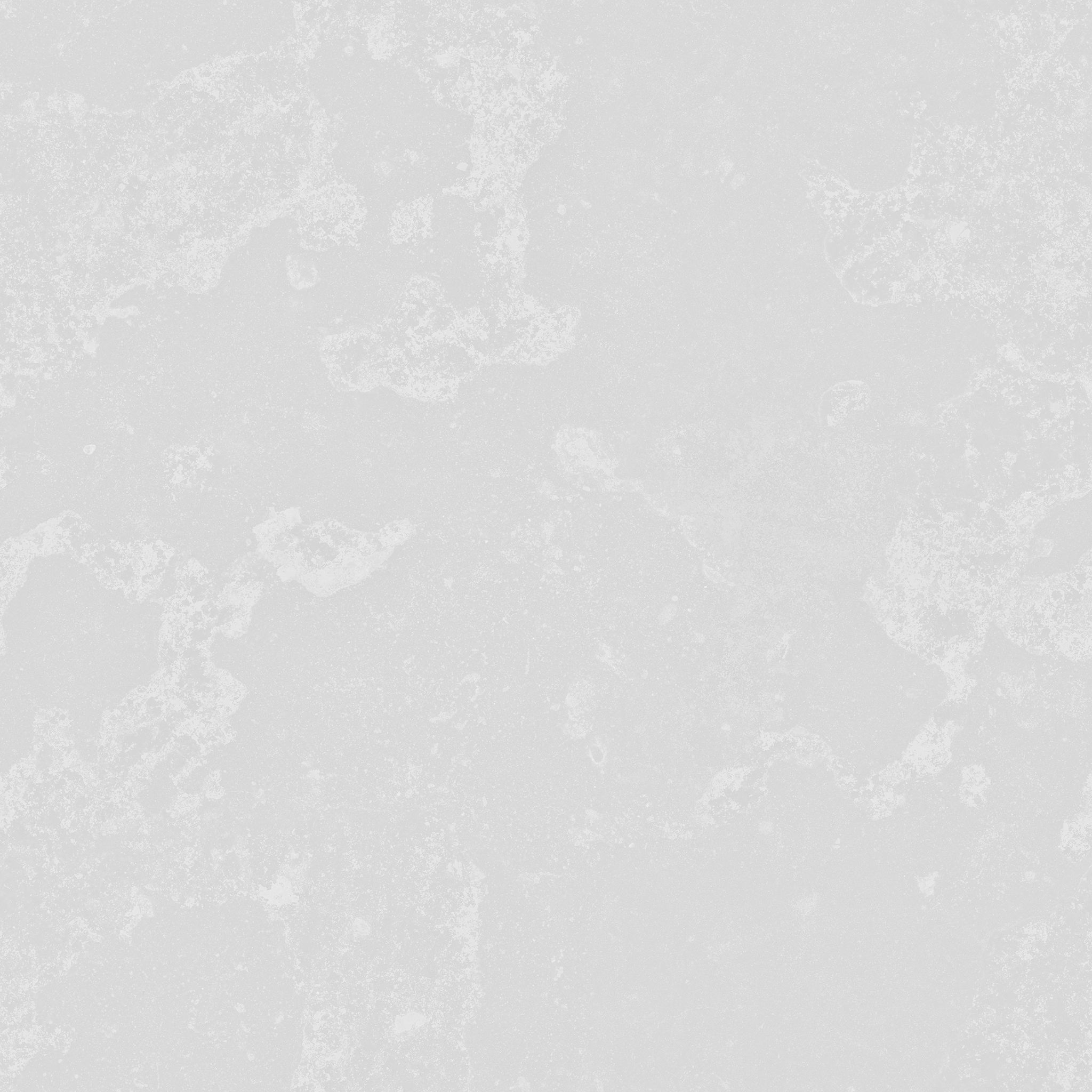 Ficus Elastica Black 3D model_18