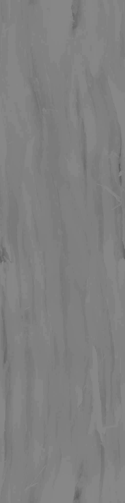 Ficus Elastica Black 3D model_24