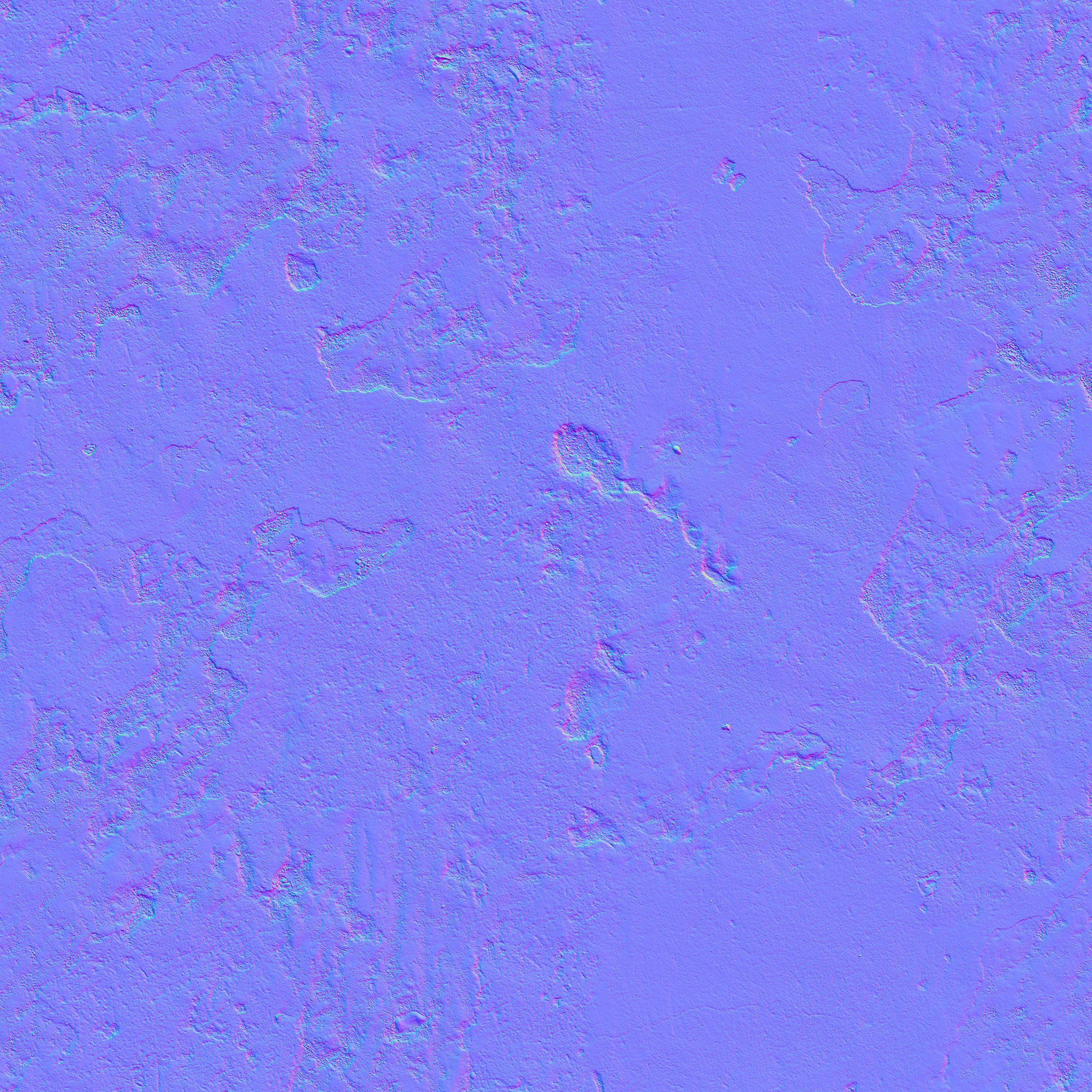 Ficus Elastica Black 3D model_20