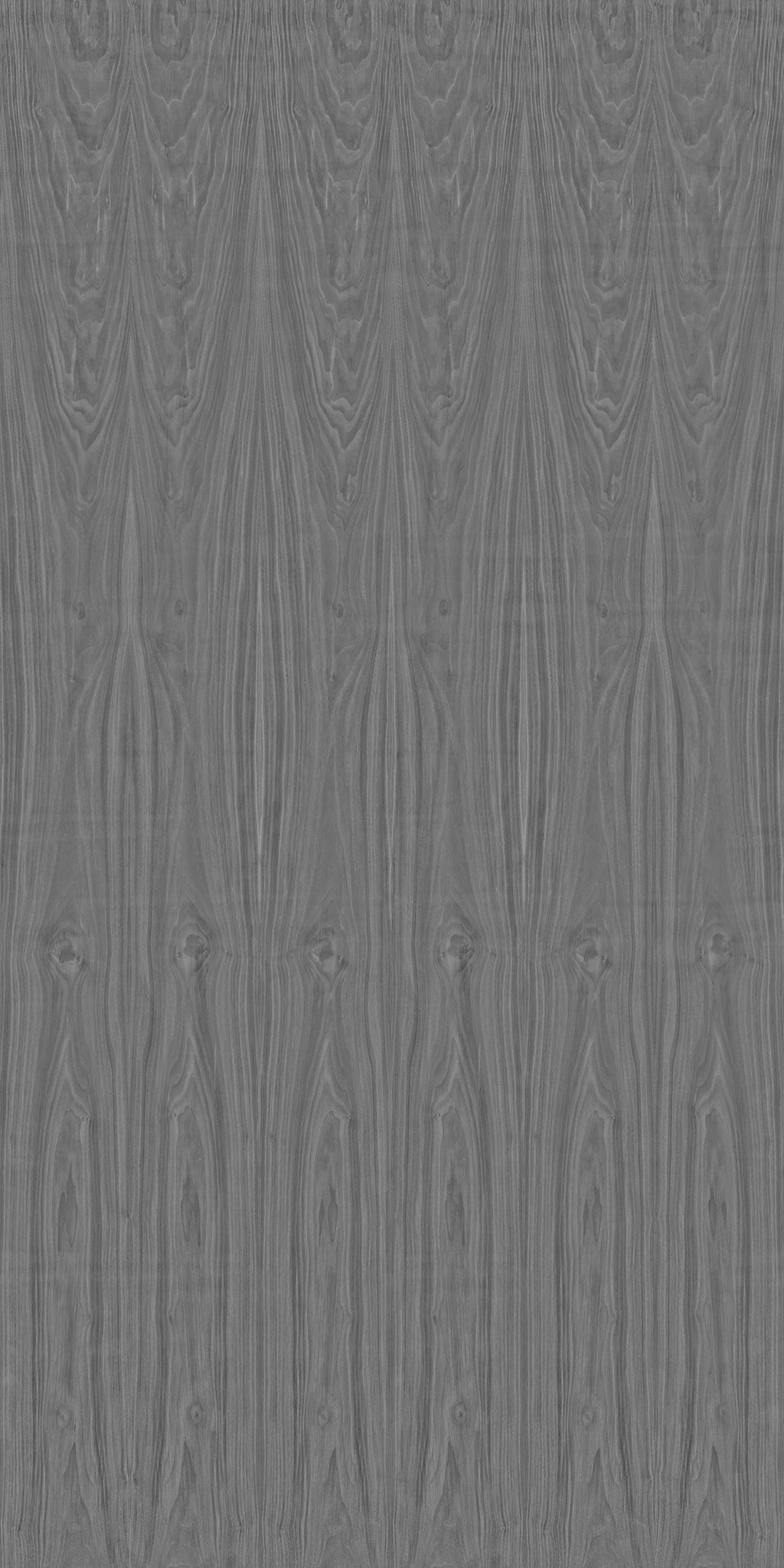 Ficus Elastica Black 3D model_16