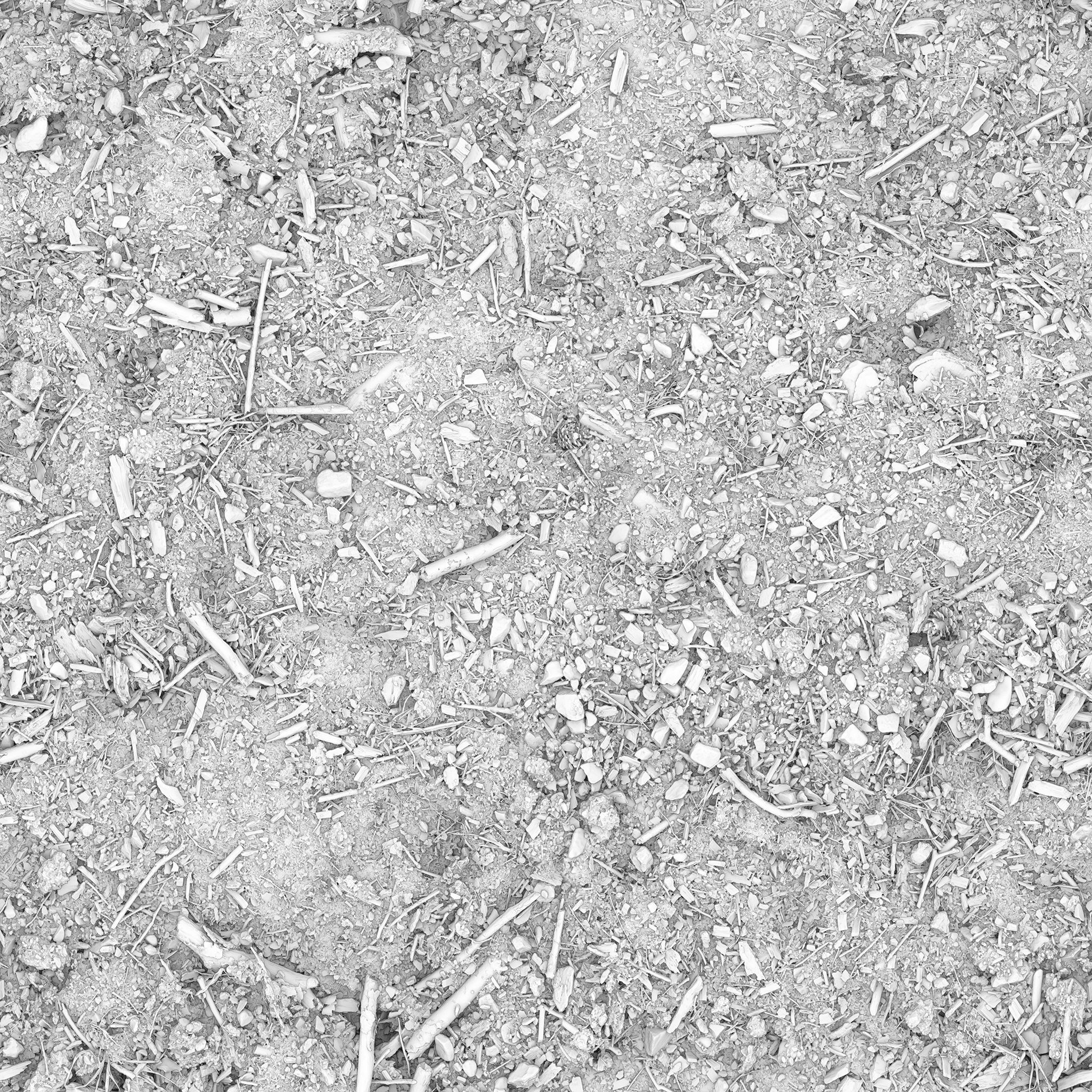 Ficus Elastica Black 3D model_33