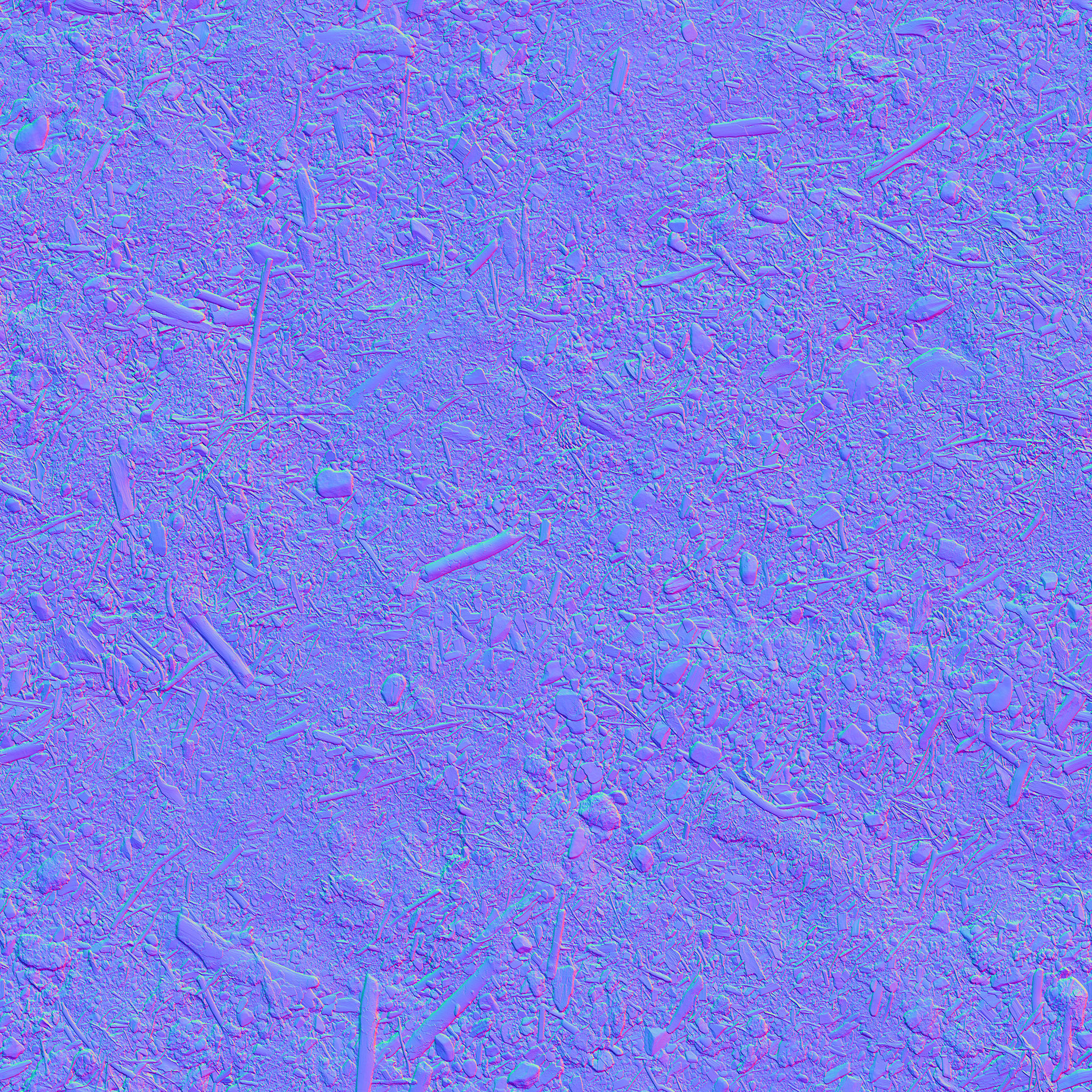 Ficus Elastica Black 3D model_34