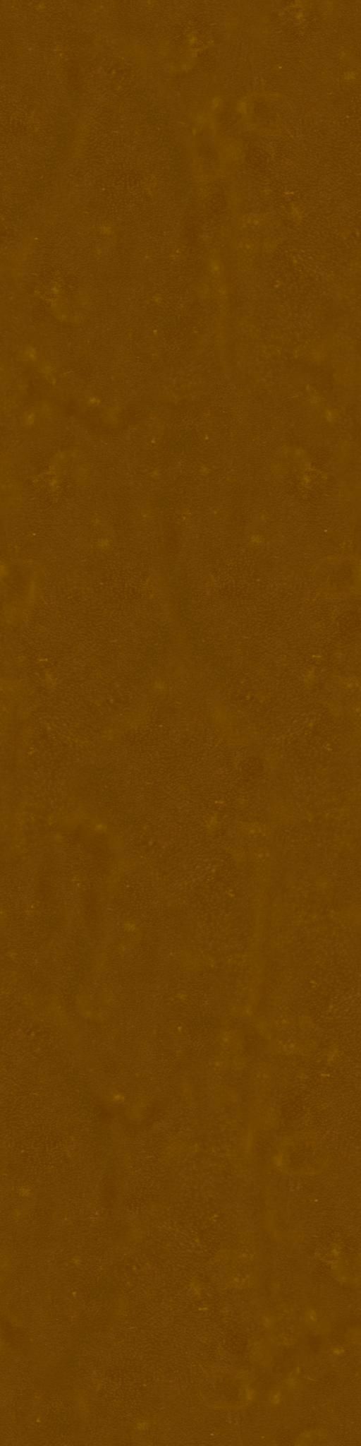 Ficus Elastica Black 3D model_27