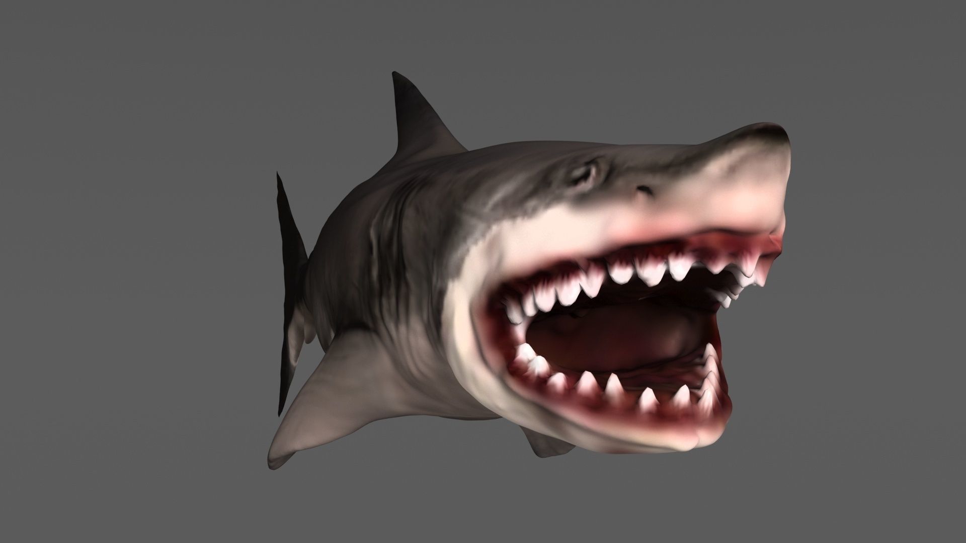 Shark 3D models Low-poly 3D model_4