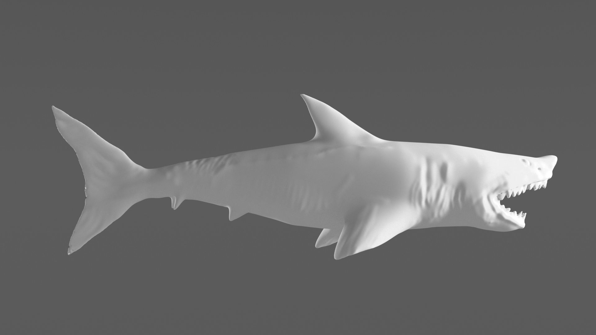 Shark 3D models Low-poly 3D model_5