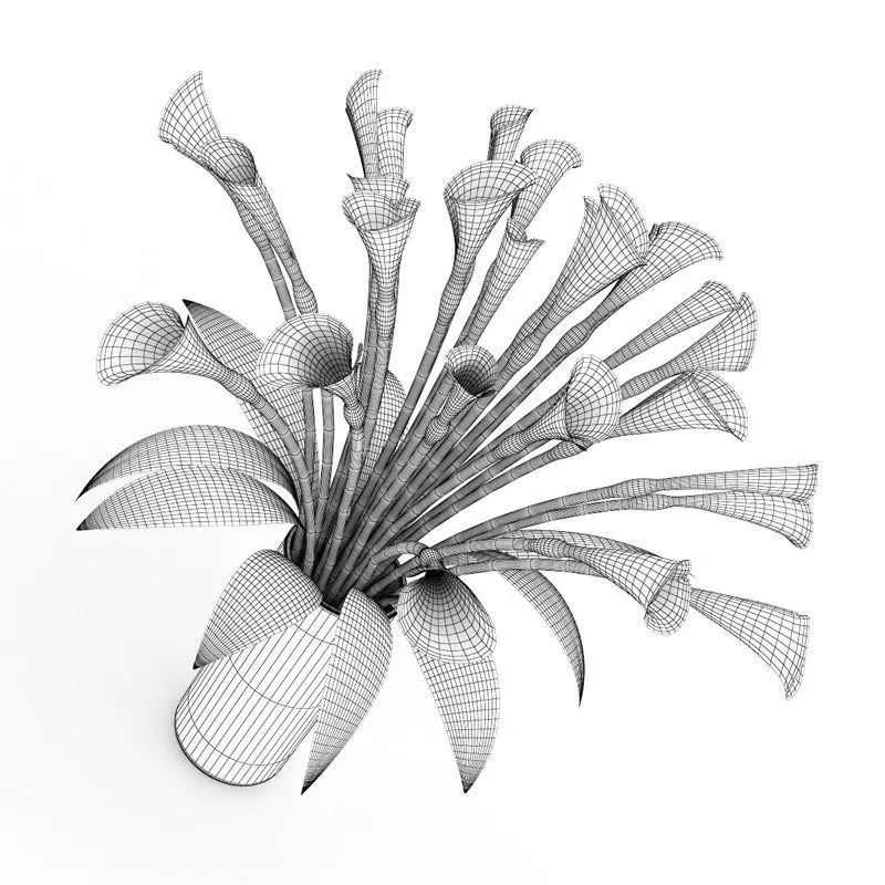 Lilies in Vase 3D model_0