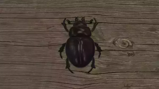 BUGS-001 Scarab Low-poly 3D model