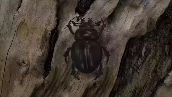 BUGS001 Scarab Low-poly 3D model