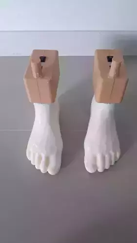 foot reflexology 3d model