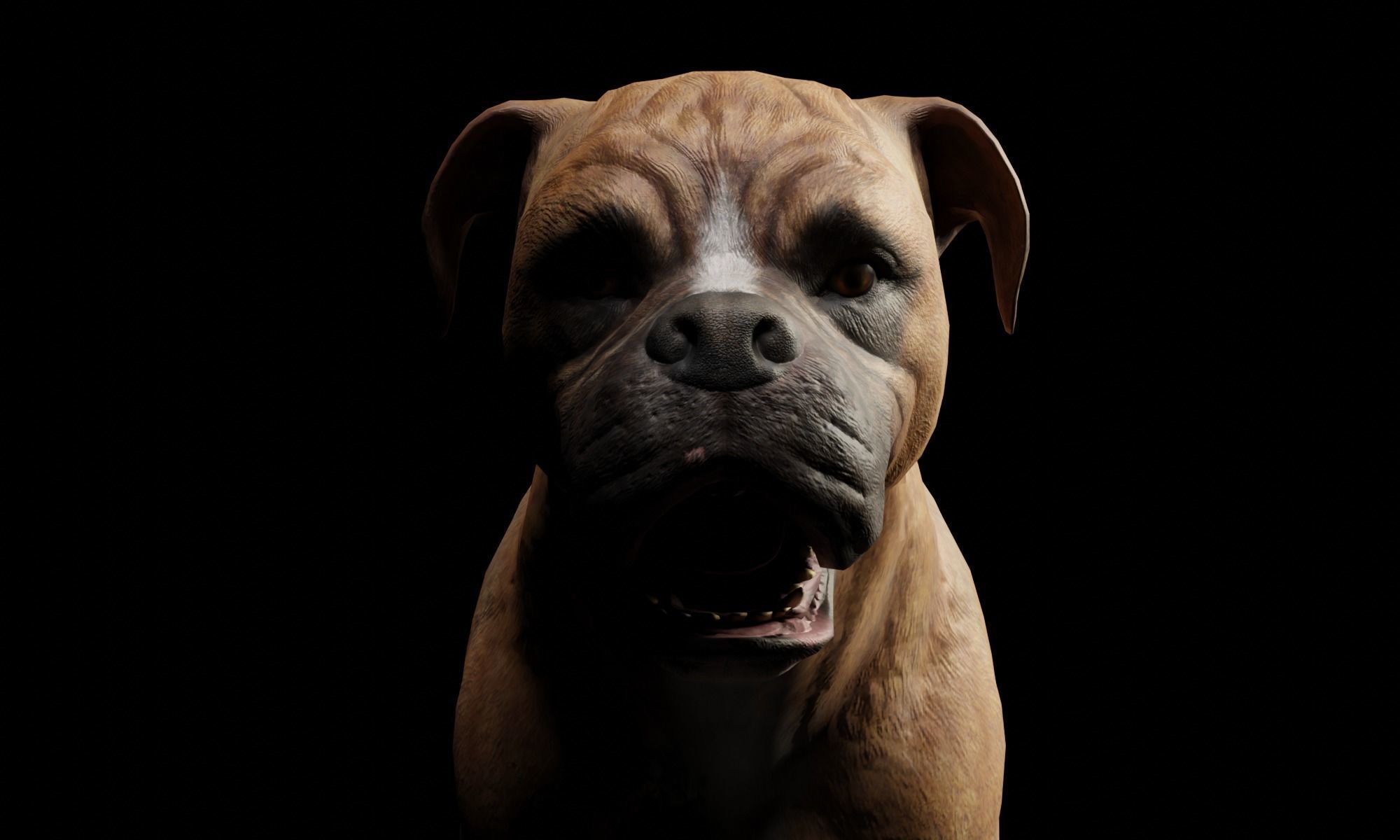 DOG - BOXER  Low-poly 3D model_13
