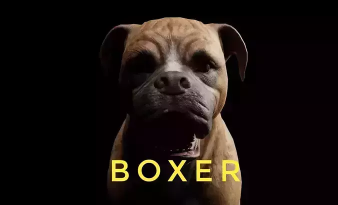 DOG - BOXER  Low-poly 3D model