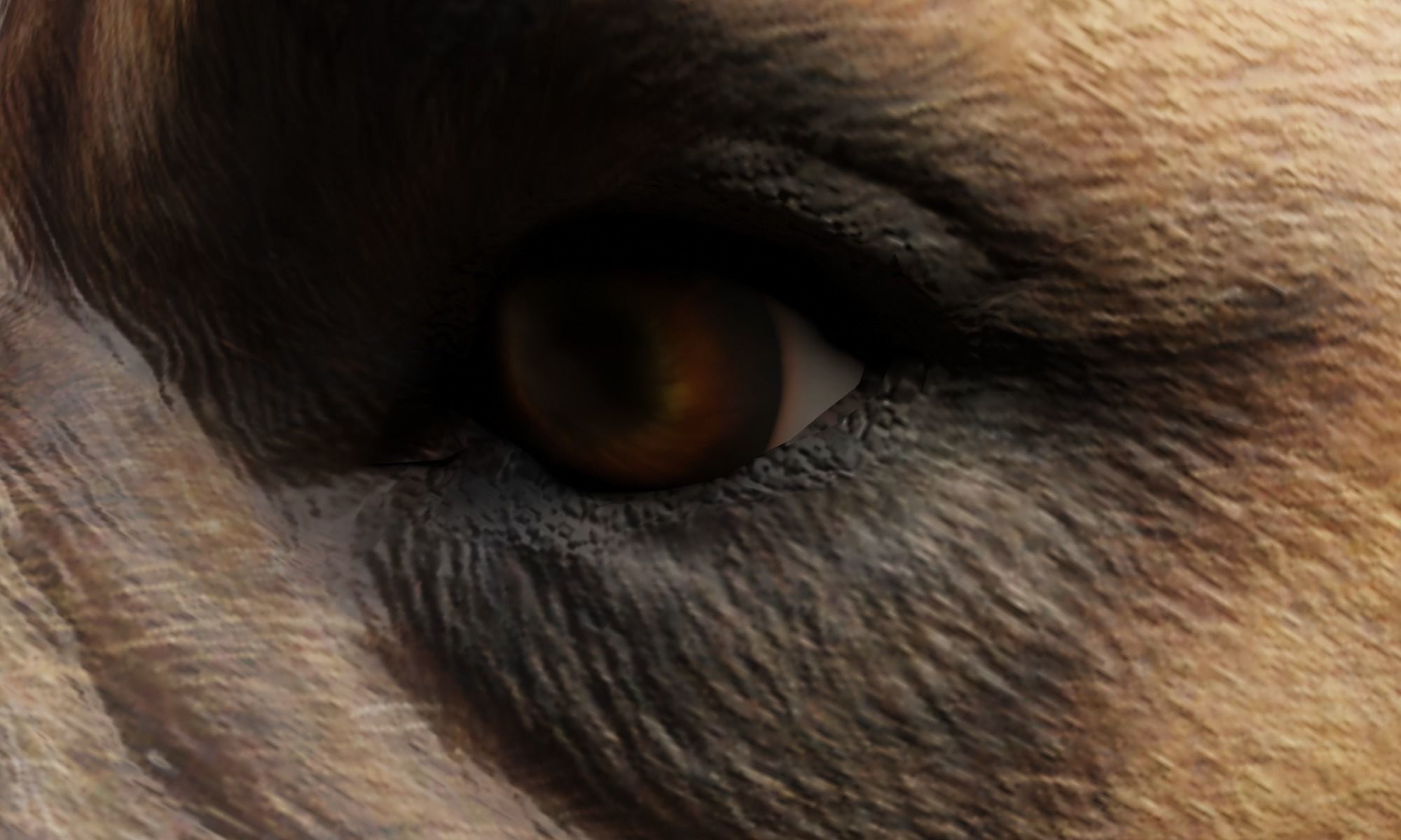 DOG - BOXER  Low-poly 3D model_4