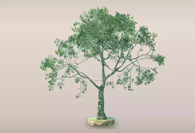 Tree - 4 Free low-poly 3D model