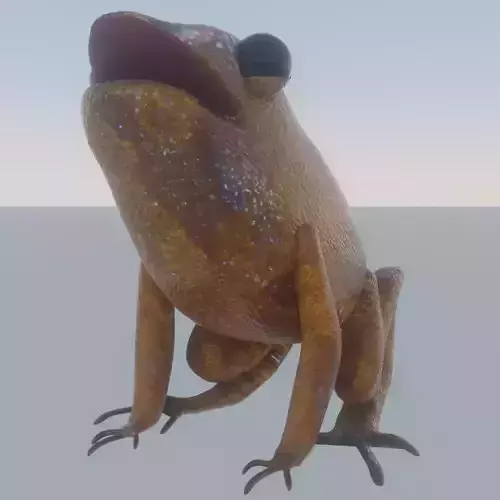 Mid-Poly Brown Frog Low-poly 3D model