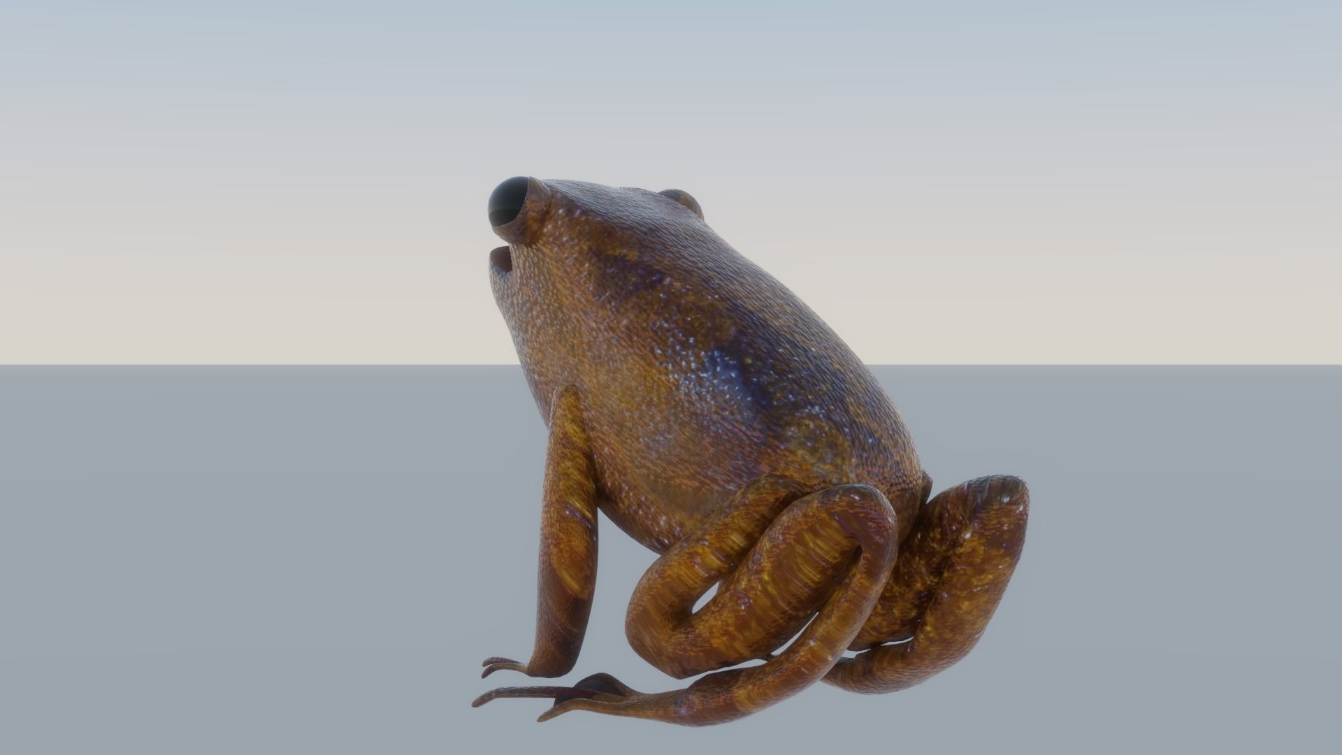 Mid-Poly Brown Frog Low-poly 3D model_3