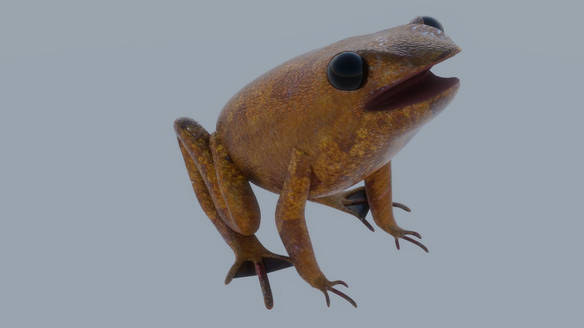 Mid-Poly Brown Frog Low-poly 3D model_2