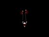 3D Model of Female Reproductive and Urinary System 3D model_1