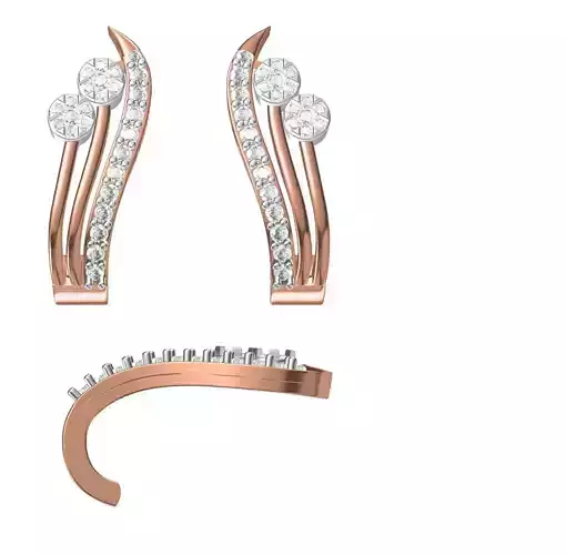 Women Earrings STL JCD Details