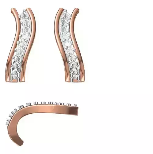 Women Earrings STL JCD Details