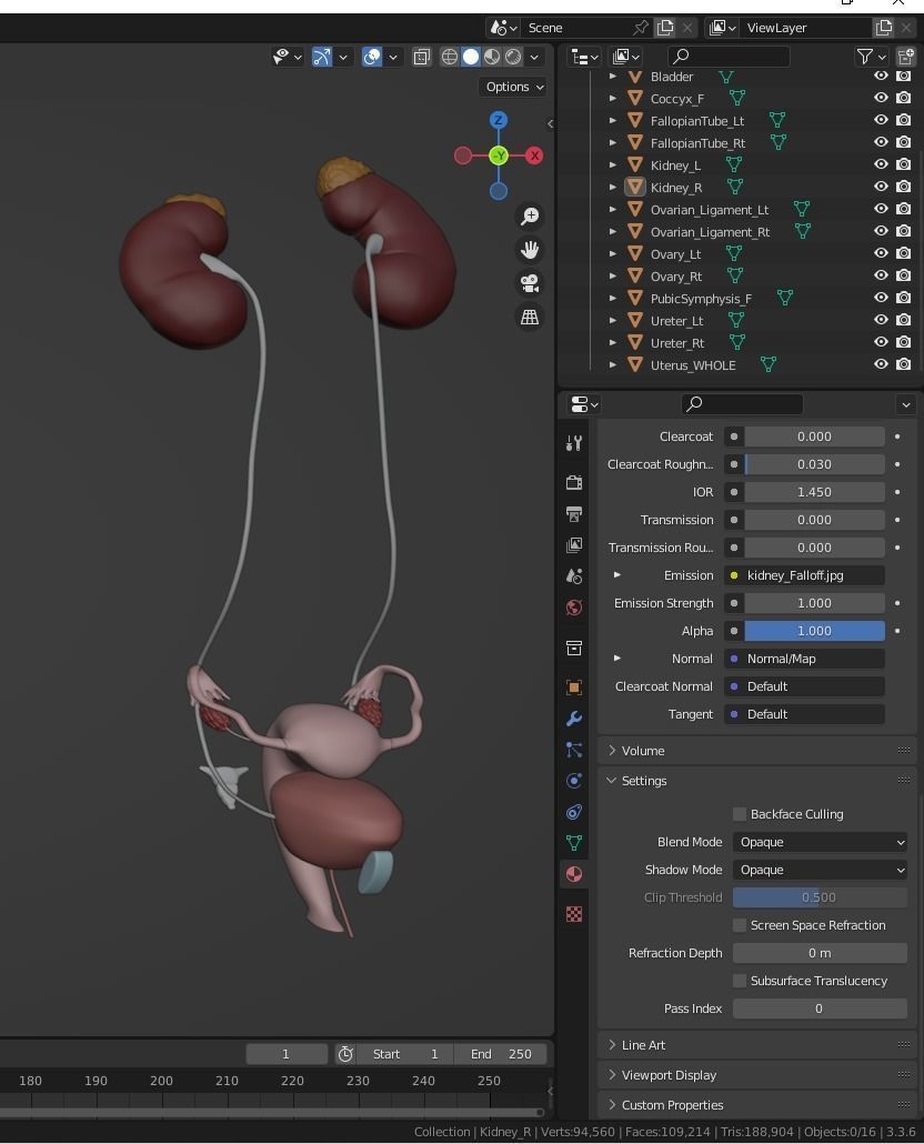 3D Model of Female Reproductive Urinary System Hip and Sacrum 3D model_91