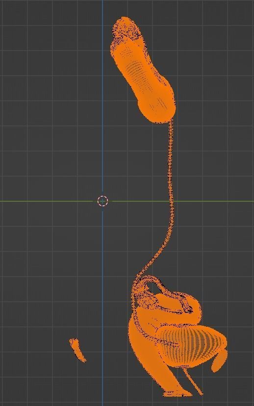 3D Model of Female Reproductive Urinary System Hip and Sacrum 3D model_73
