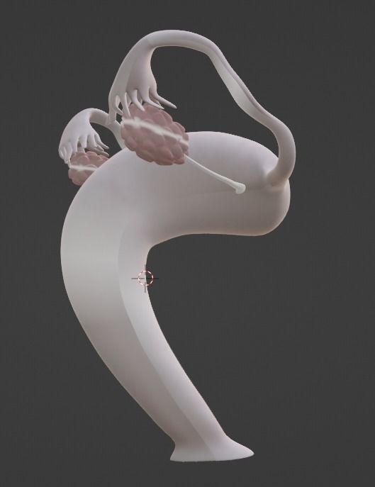 3D Model of Female Reproductive Urinary System Hip and Sacrum 3D model_53