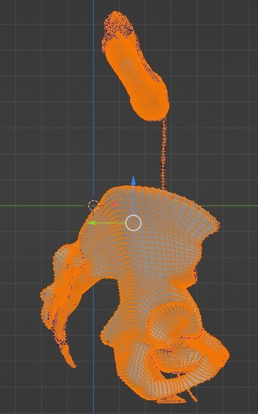 3D Model of Female Reproductive Urinary System Hip and Sacrum 3D model_29