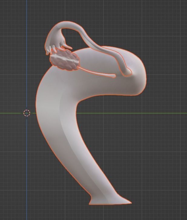 3D Model of Female Reproductive Urinary System Hip and Sacrum 3D model_51