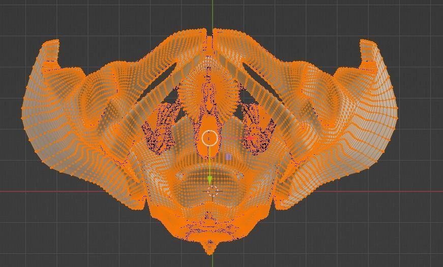 3D Model of Female Reproductive Urinary System Hip and Sacrum 3D model_19