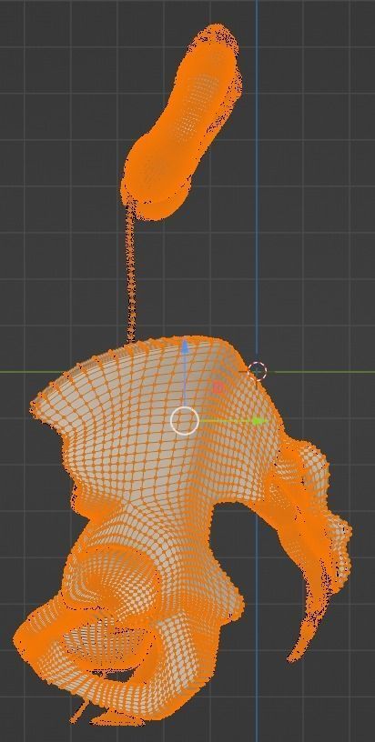 3D Model of Female Reproductive Urinary System Hip and Sacrum 3D model_20