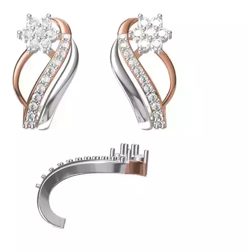 Women Earrings STL JCD Details